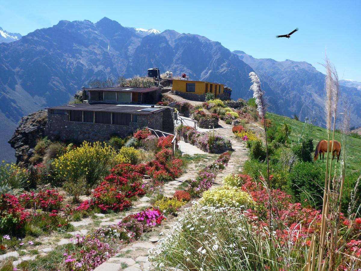 La Granja Del Colca Villa Cabanaconde Kültér fotó