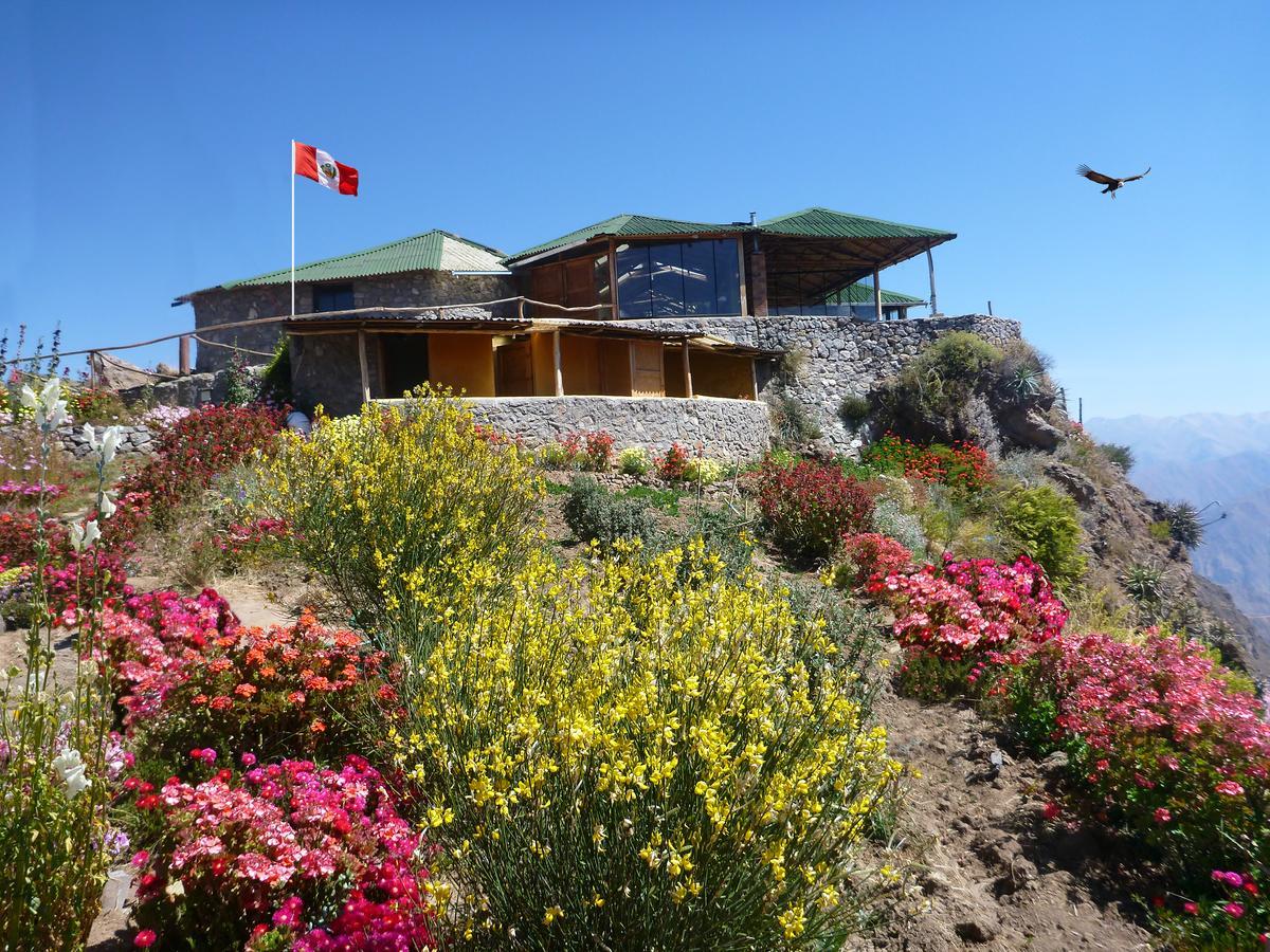 La Granja Del Colca Villa Cabanaconde Kültér fotó