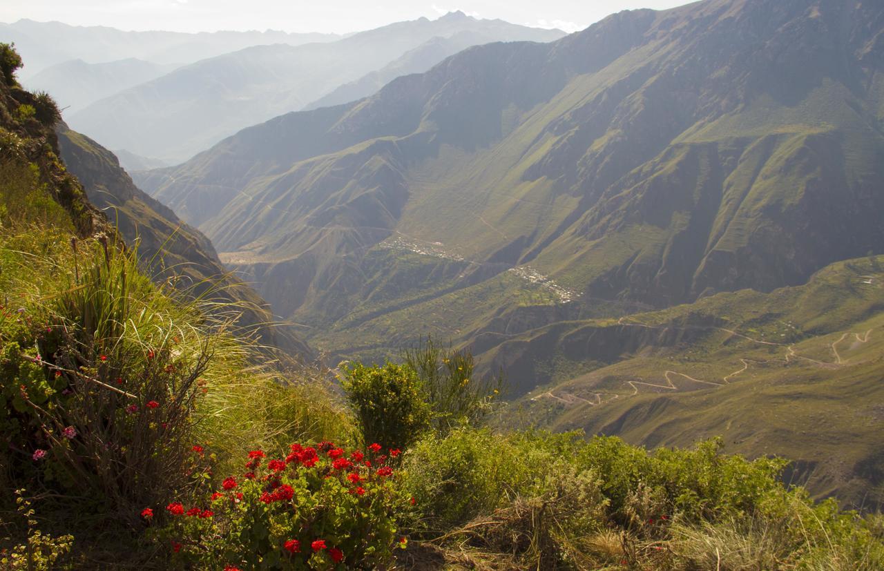 La Granja Del Colca Villa Cabanaconde Kültér fotó