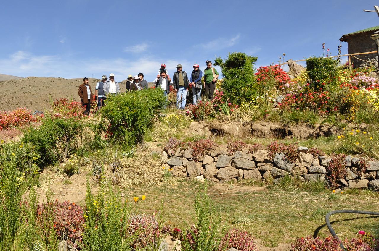 La Granja Del Colca Villa Cabanaconde Kültér fotó