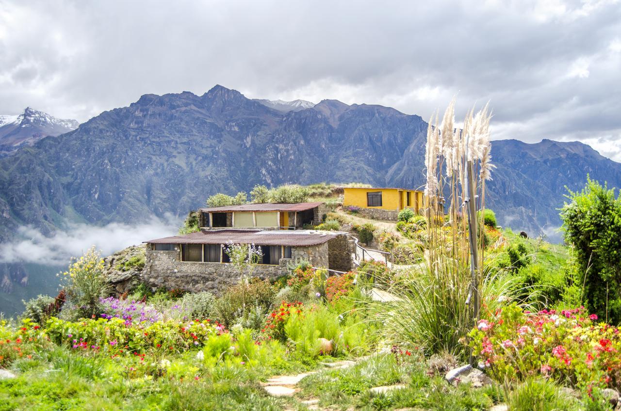 La Granja Del Colca Villa Cabanaconde Kültér fotó